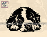 Saint Bernard Cricut
