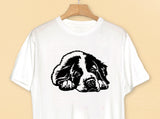 Saint Bernard Vector