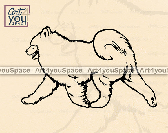 Samoyed SVG
