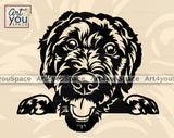 Schnoodle Art
