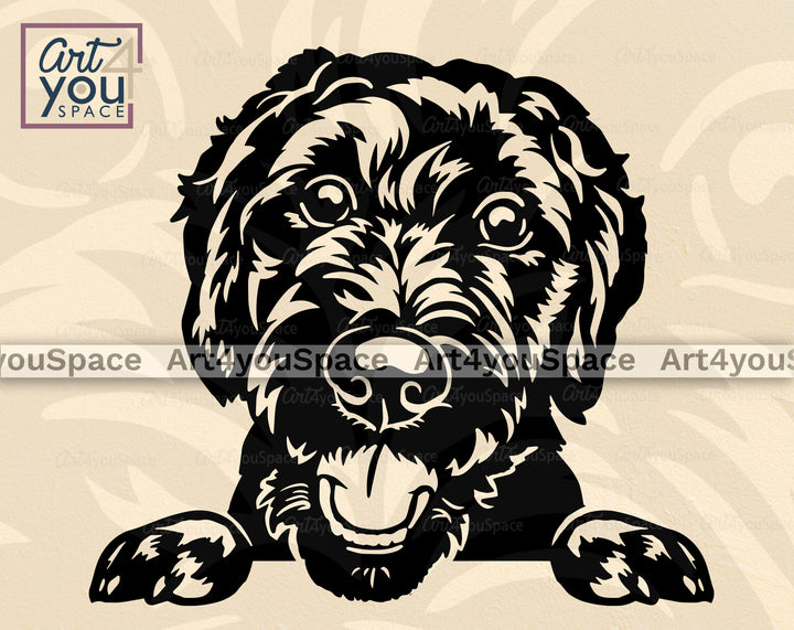 Schnoodle Clipart