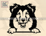 Shetland Sheepdog PNG