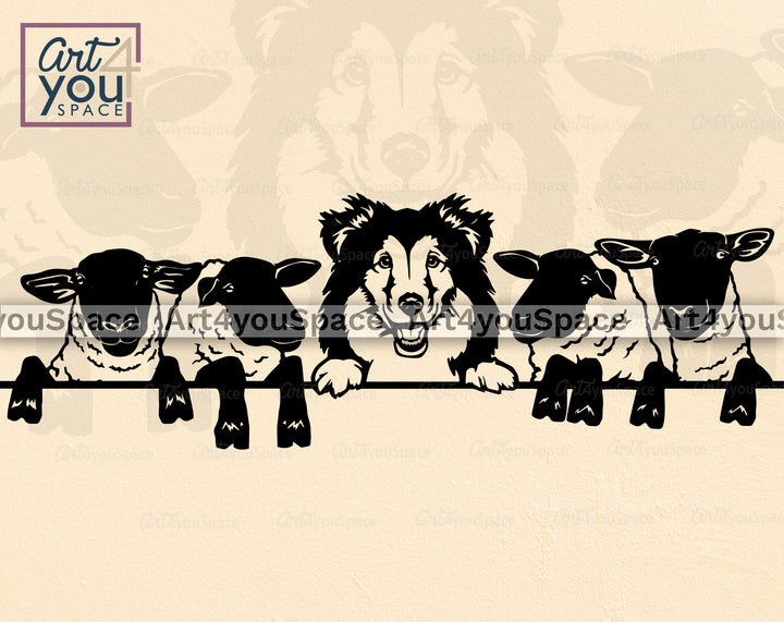 Bearded Collie Sheeps SVG