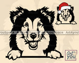 Shetland  Sheepdog SVG