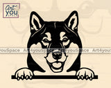 Shiba Inu PNG