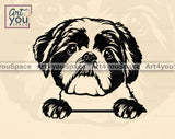 Shih Tzu Vector