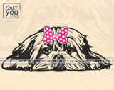 Shih Tzu Vector