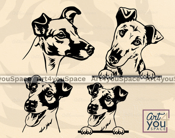 Smooth Fox Terrier SVG