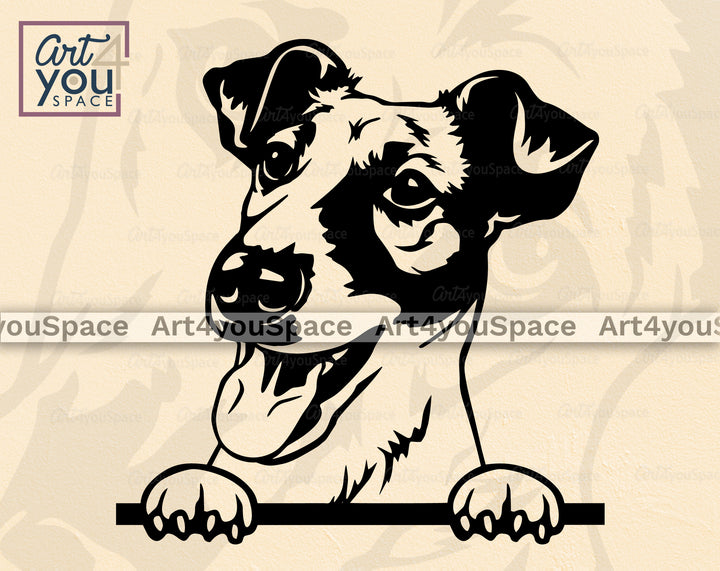 Smooth Fox Terrier PNG