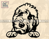 Soft Coated Wheaten Terrier DXF
