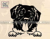 stabyhoun dog svg