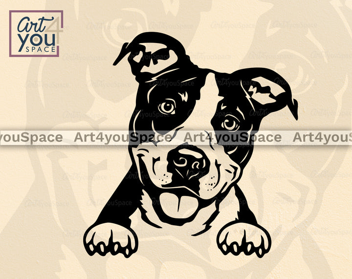 American Staffordshire Terrier Vector