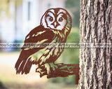 Tawny Owl DXF
