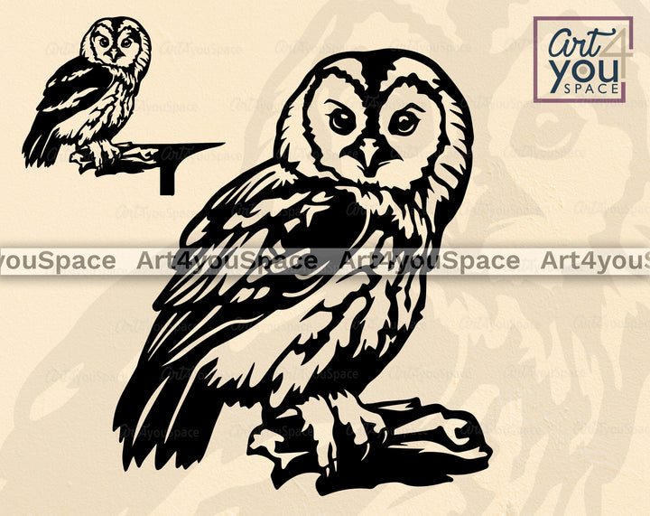 Tawny Owl Vector