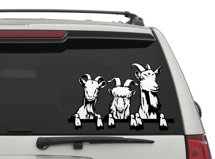 Goat Art