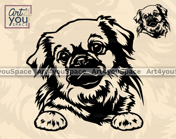 Tibetan Spaniel SVG
