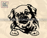 Tibetan Spaniel Art