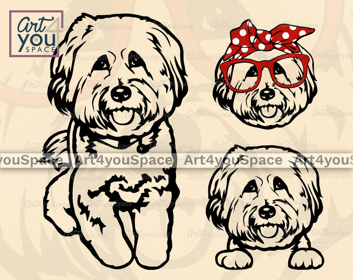 Tibetan Terrier SVG