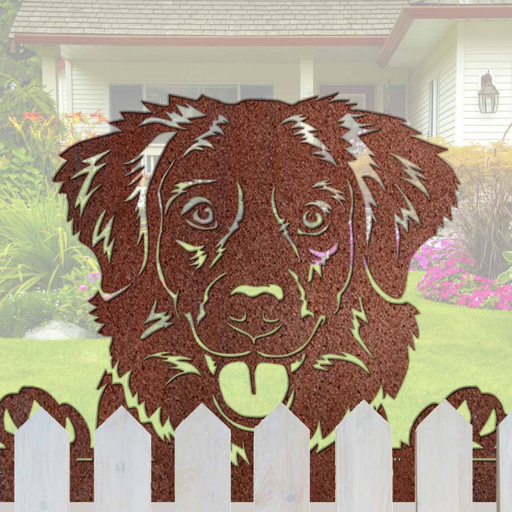 toller dog sign