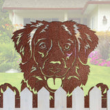 toller dog sign