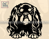 English Toy Spaniel PNG