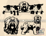 Briard SVG