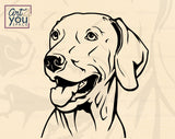 Weimaraner Vector