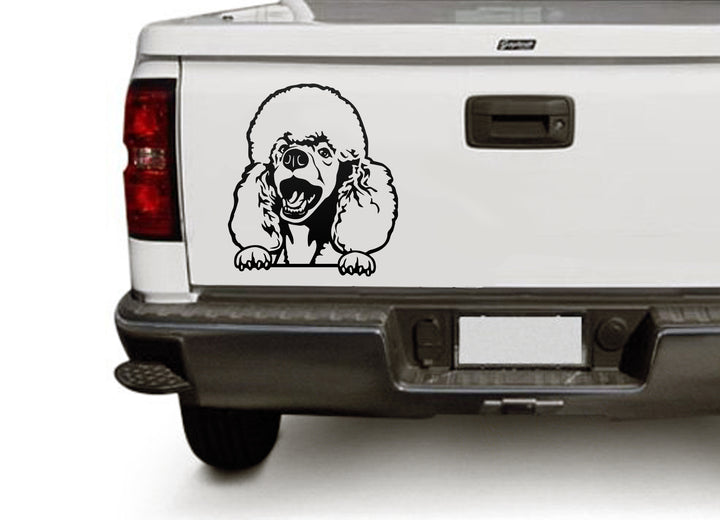 Poodle  PNG