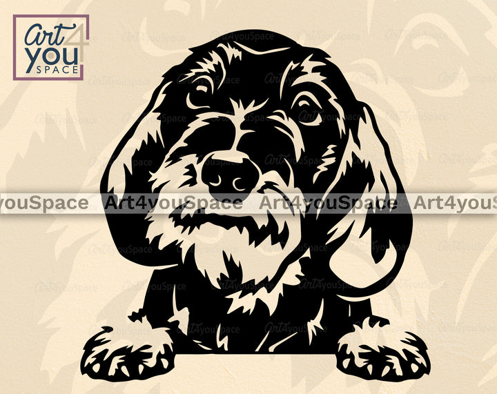 Dachshund_wirehaired_clipart