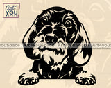 Dachshund_wirehaired_clipart