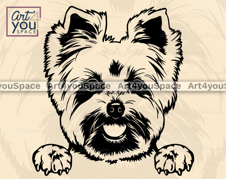 Yorkshire Terrier Vector