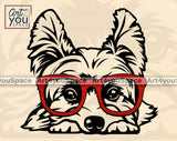 Yorkshire Terrier PNG