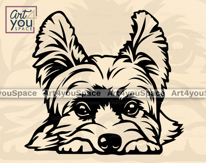 Yorkshire Terrier Vector